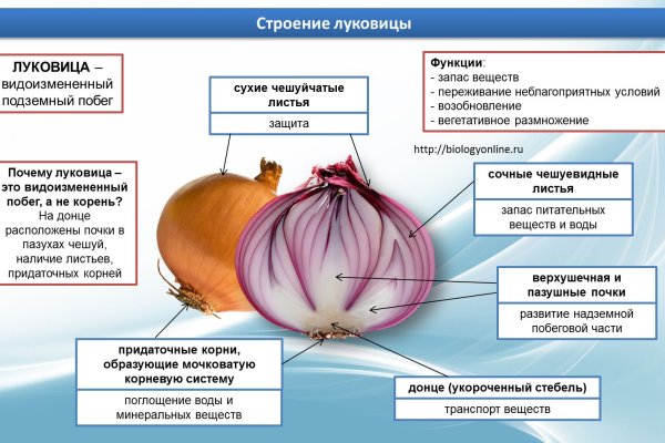 Купить семена бошек